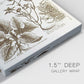 Sepia Botanical Journal VII - Canvas Art Print