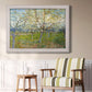 Orchard With Blossoming Apricot Trees - Ornate Framed Canvas Print