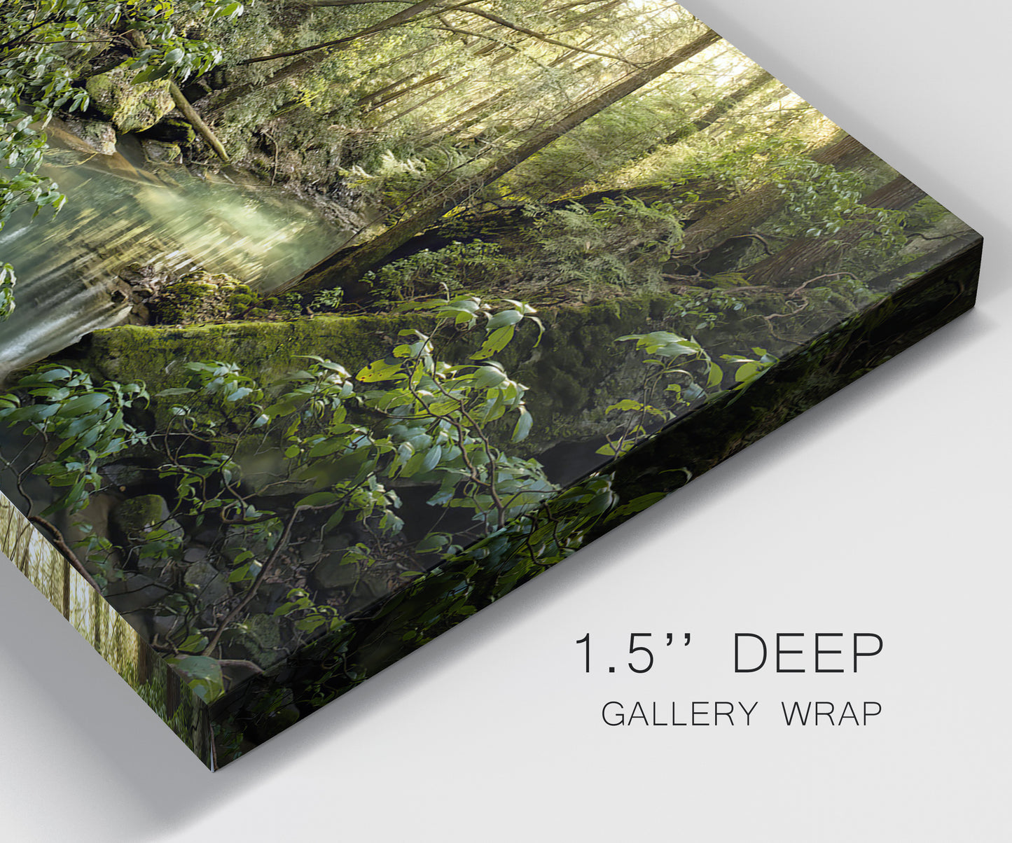 Close-up view of wrapped canvas corner featuring sun filtered woodland photograph.