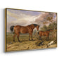 Portrait of Reformer, Blucher, Tory and Crib, Property of Rowland Alston, Esq., M.P., 1835 - Floater Framed Canvas Print