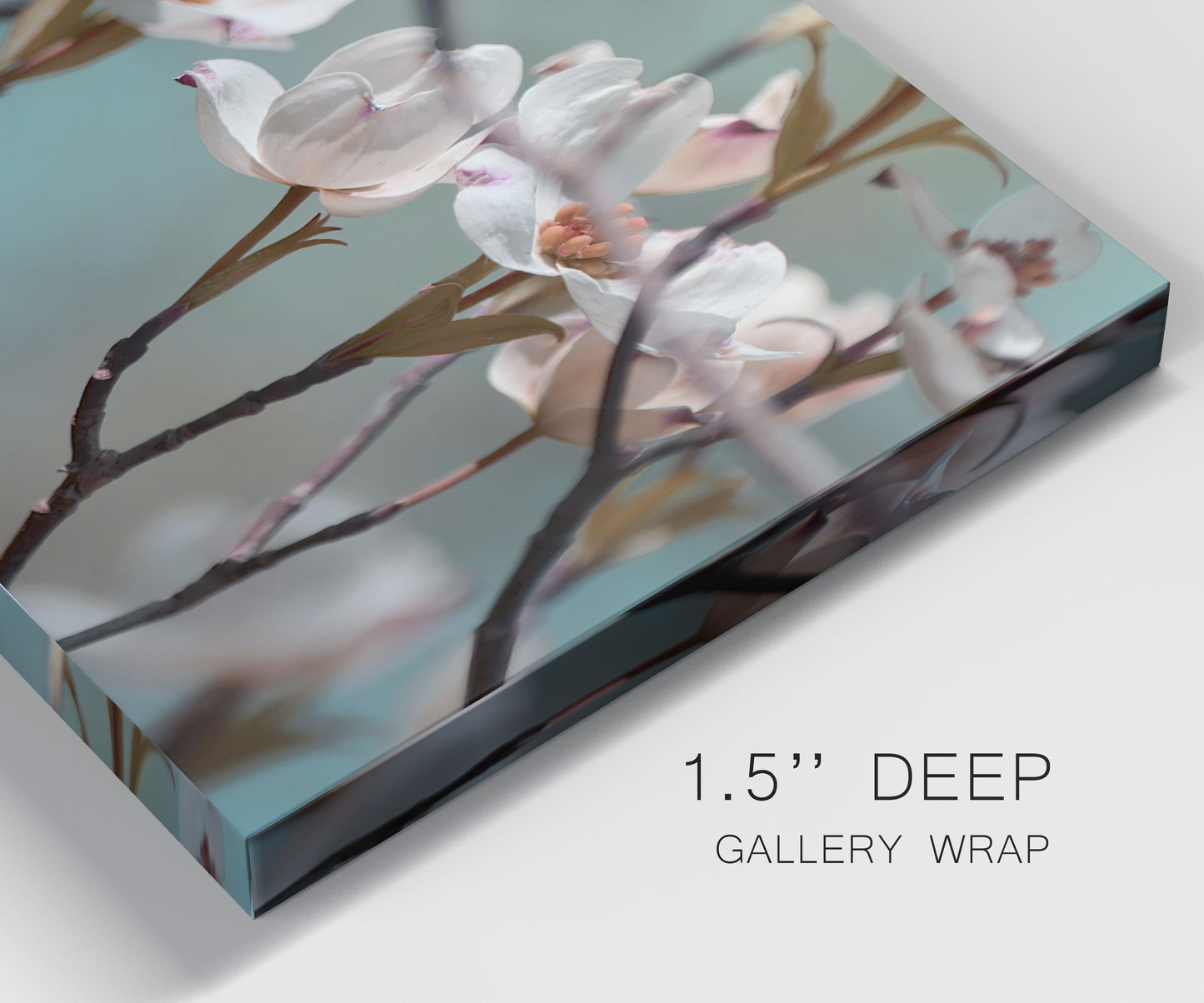 Close-up view of wrapped canvas corner featuring dogwood blossoms in spring photograph.