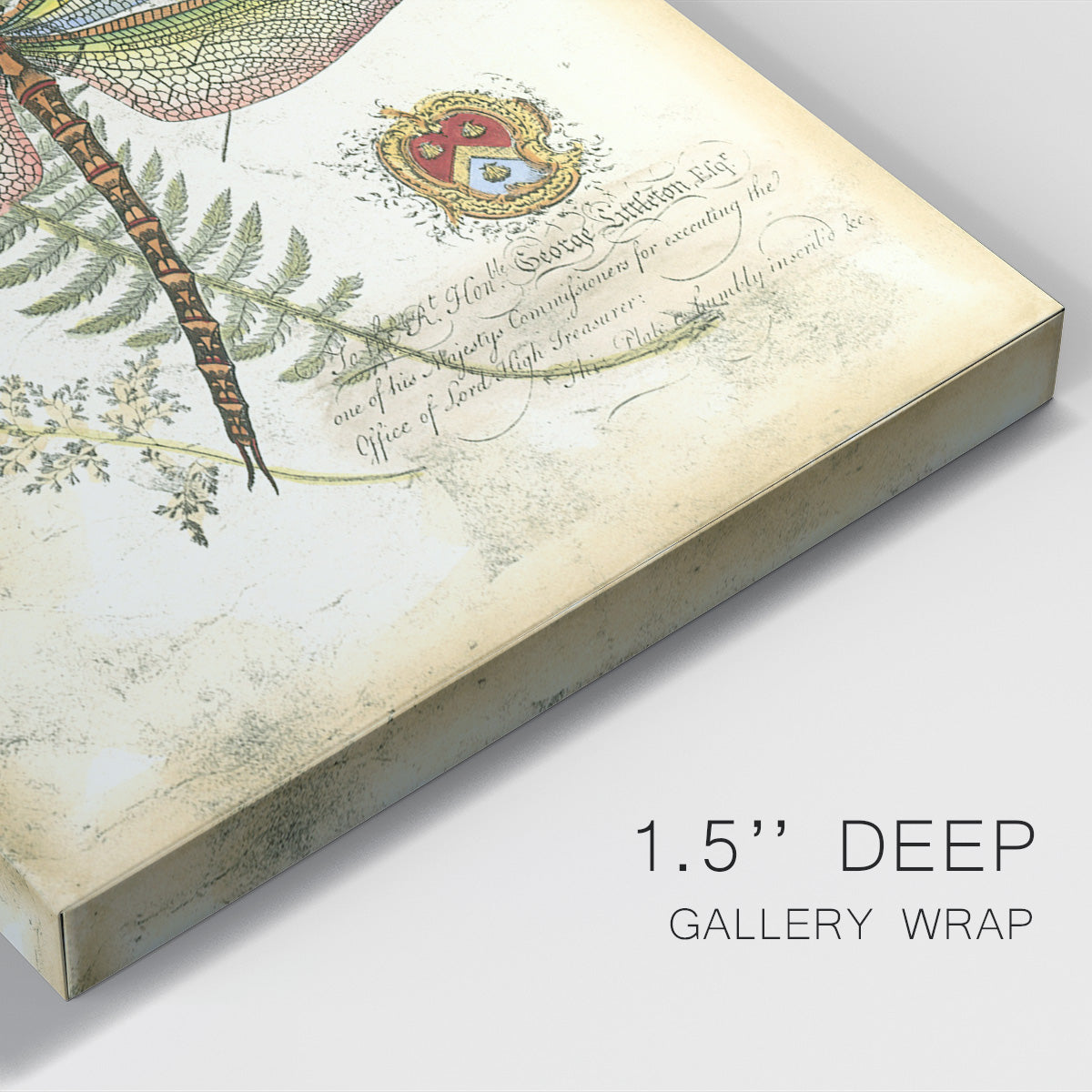 Regal Dragonfly I (PP)  - Canvas Art Print