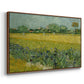 Field with Irises near Arles, 1888 - Floater Framed Canvas Print