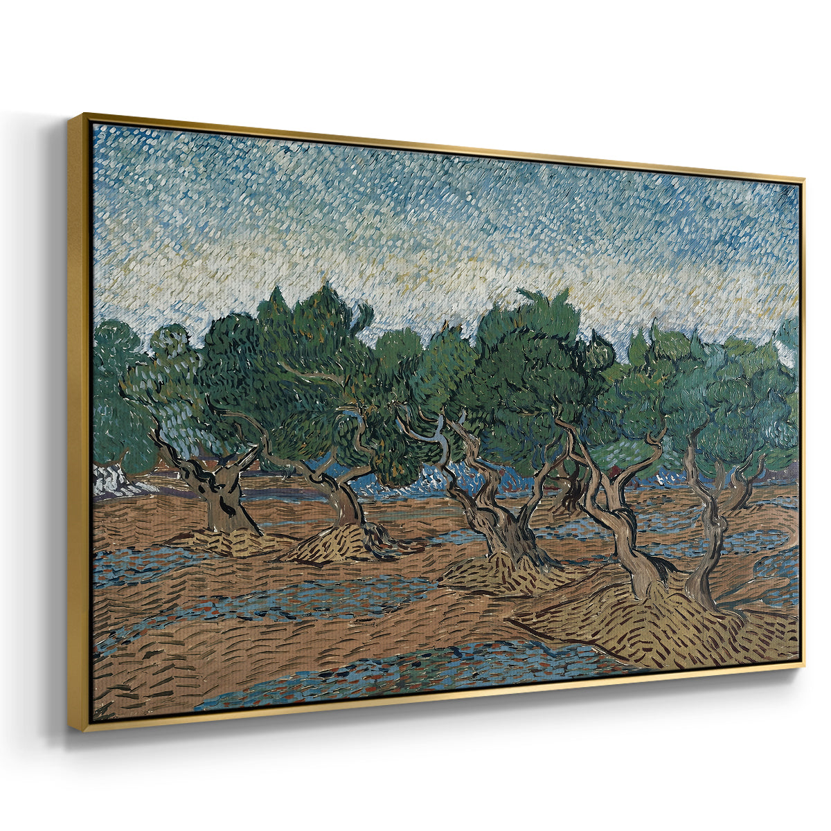 Olive Trees, 1889 - Floater Framed Canvas Print
