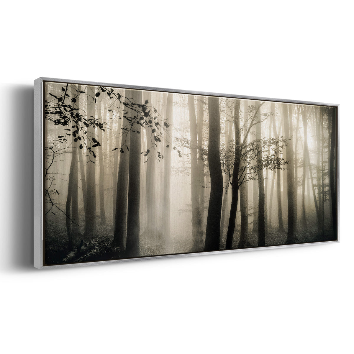 Light is Always There - Floater Framed Canvas Print