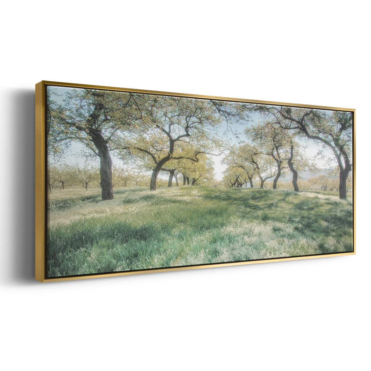 Charming Spring Mood - Floater Framed Canvas Print