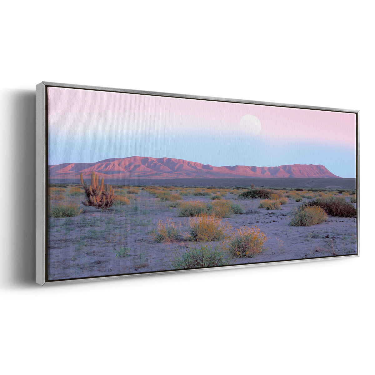 Vallenar Atacama Desert - Floater Framed Canvas Print