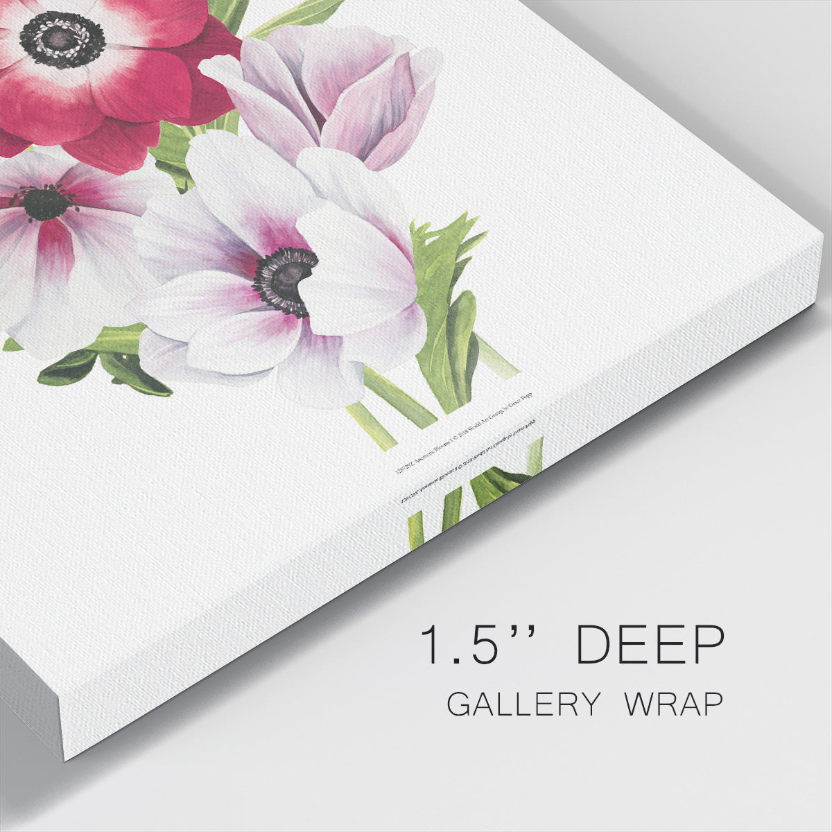 Anemone Blooms I - Canvas Art Print