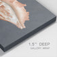 Shell on Slate IX - Canvas Art Print
