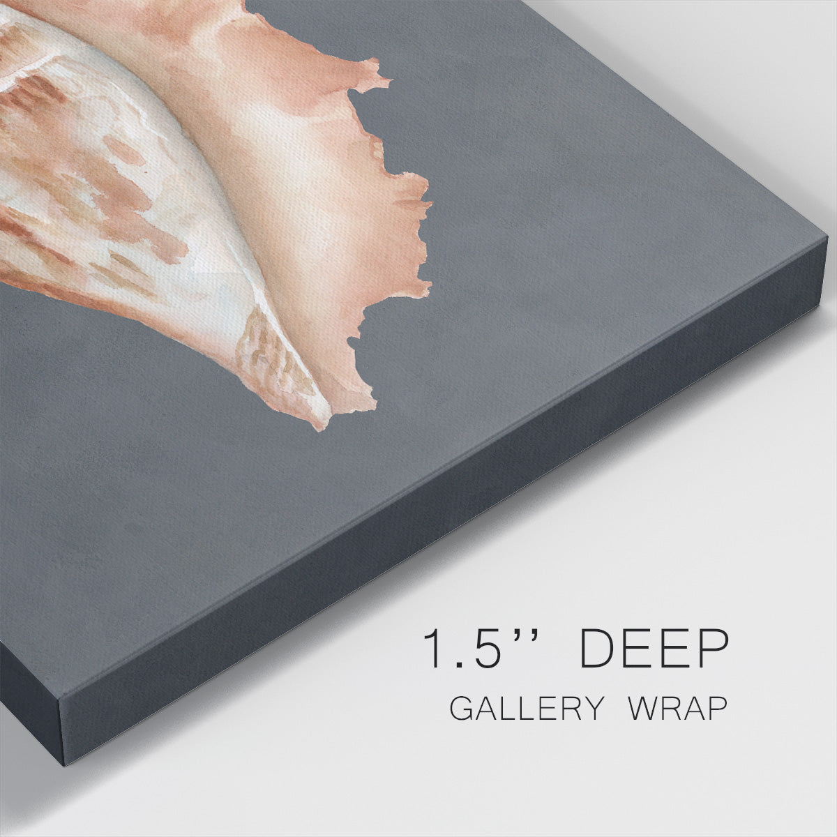 Shell on Slate IX - Canvas Art Print