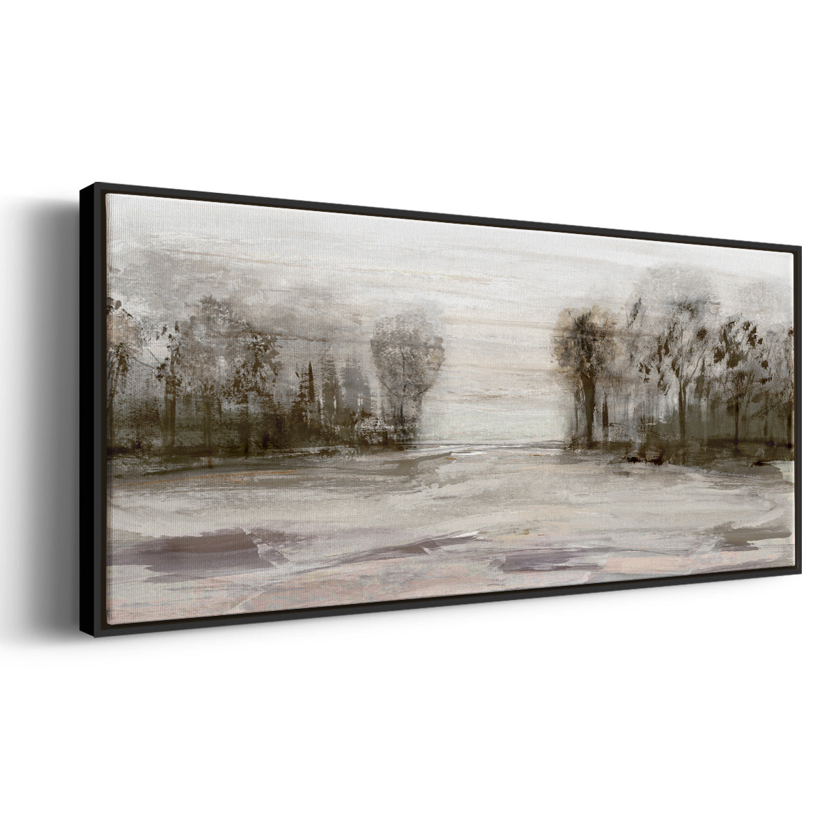 Near Graham Mountain - Floater Framed Canvas Print