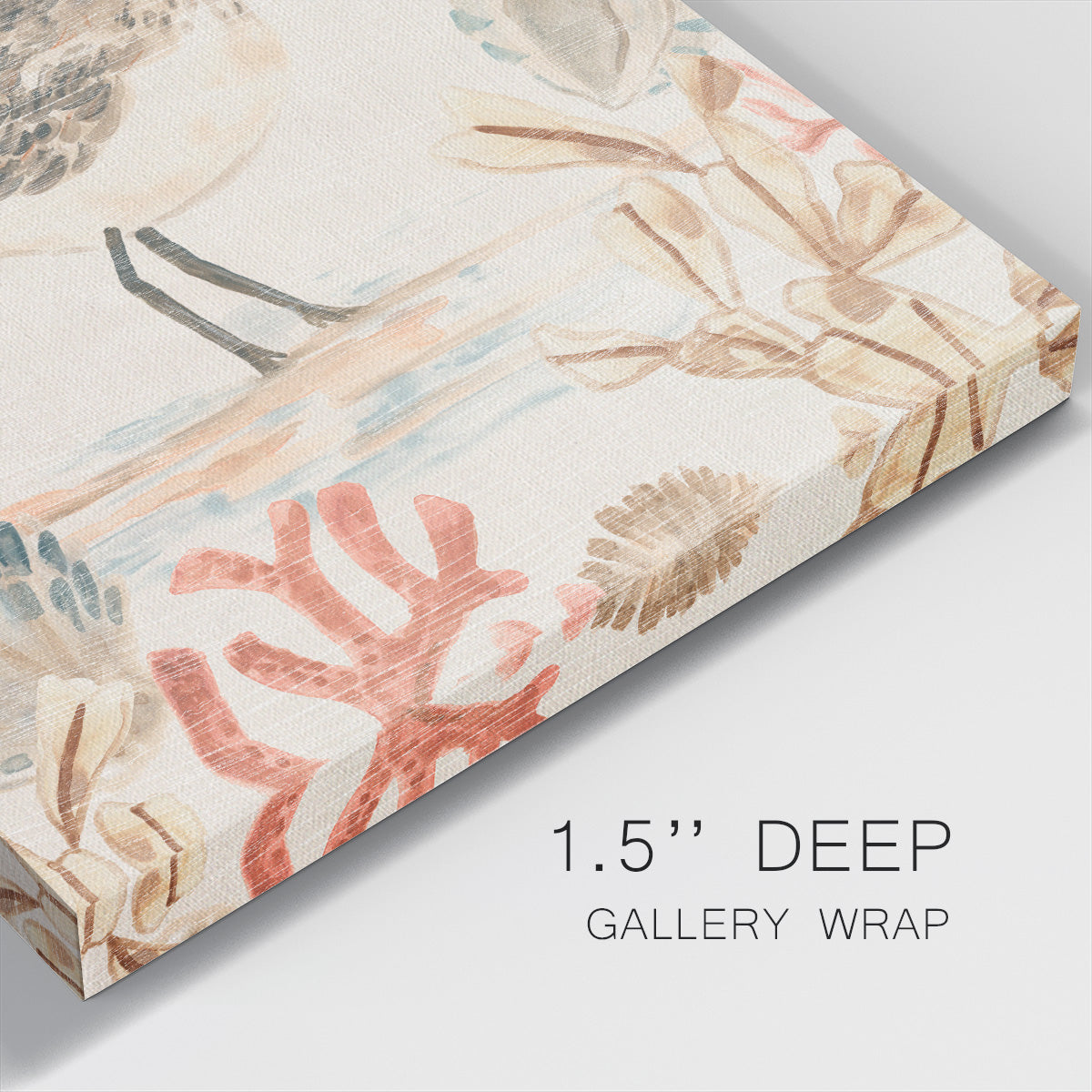 Shell Pipers I - Canvas Art Print