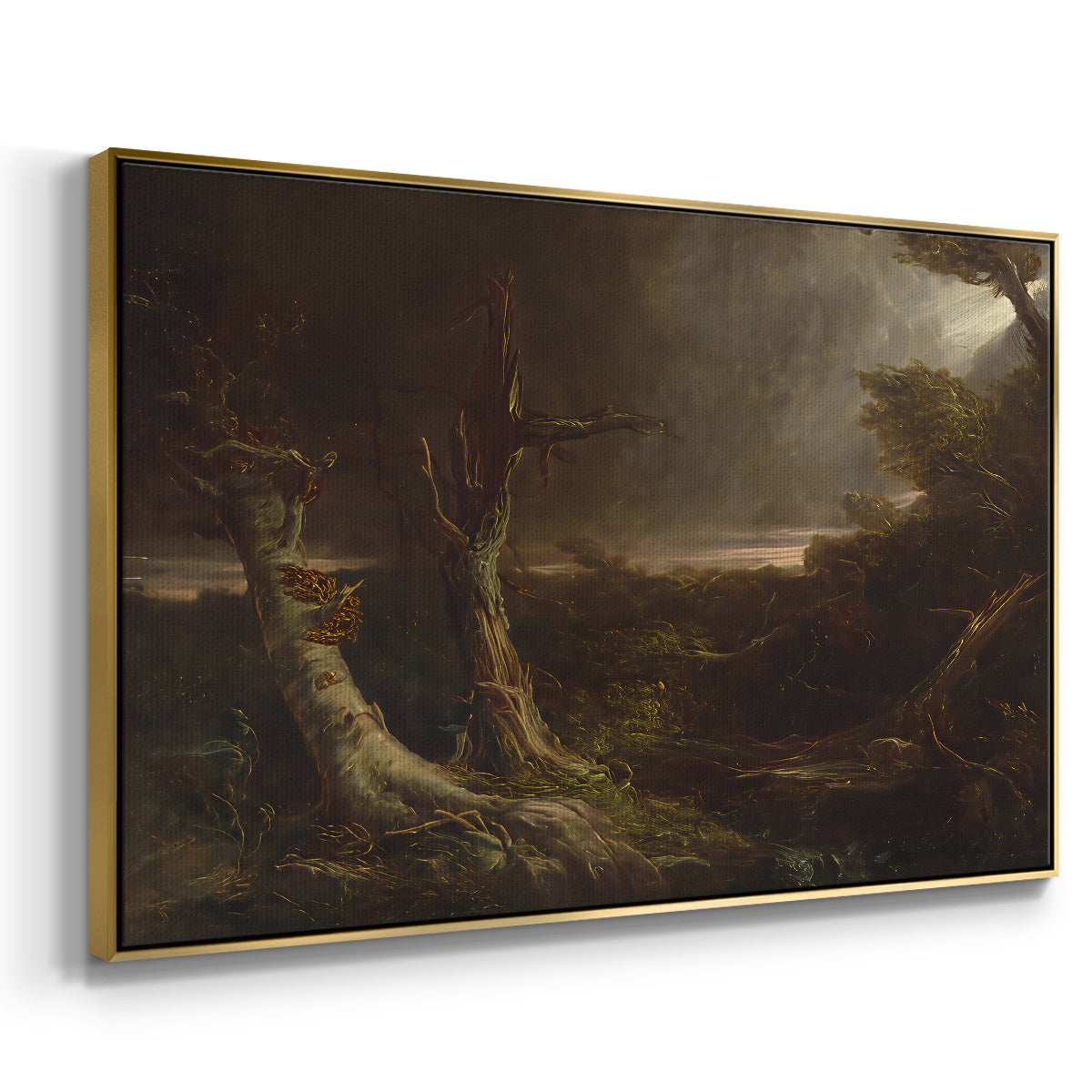 Tornado in an American Forest, 1835 - Floater Framed Canvas Print
