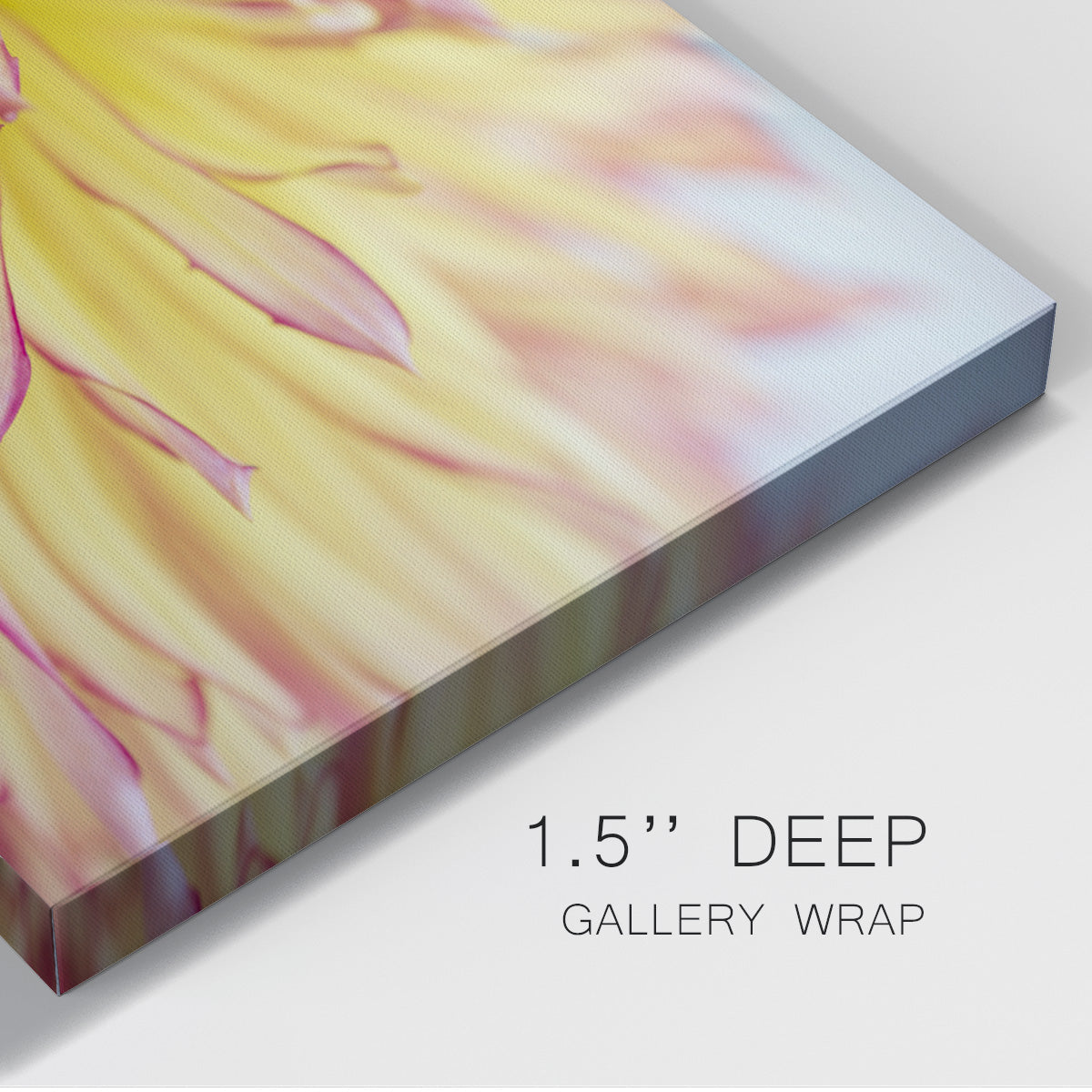 Blooms III Premium Gallery Wrapped Canvas - Ready to Hang