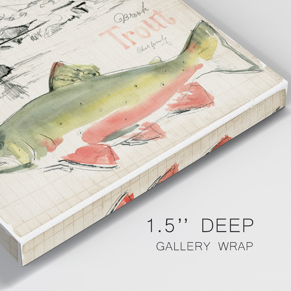 Trout Journal II-Premium Gallery Wrapped Canvas - Ready to Hang