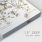Sepia Botanical Journal IX - Canvas Art Print