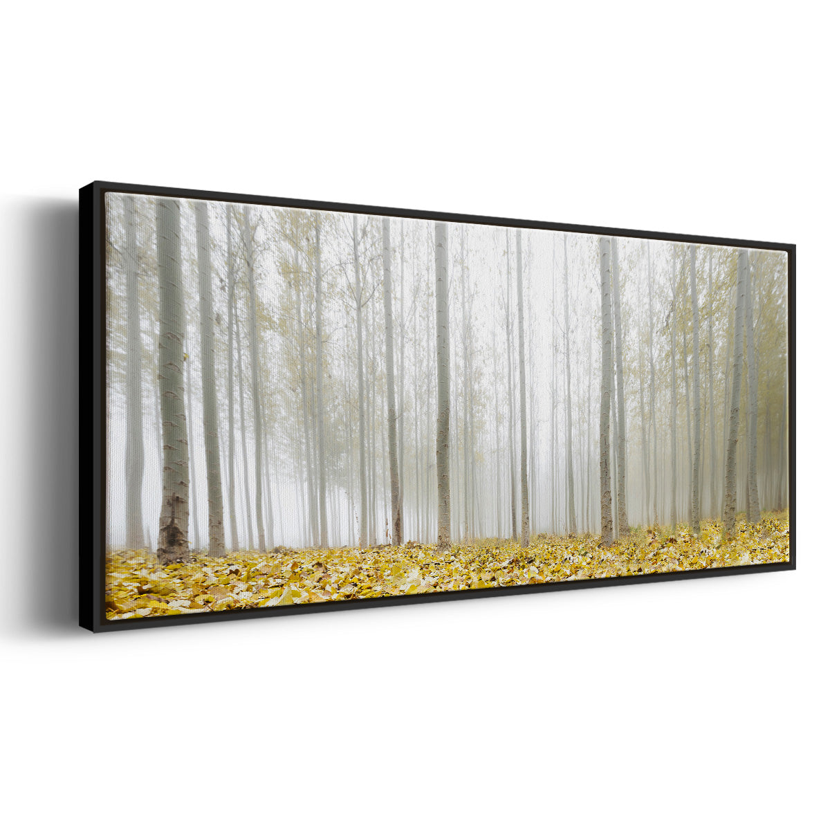 Poplar Grove - Floater Framed Canvas Print