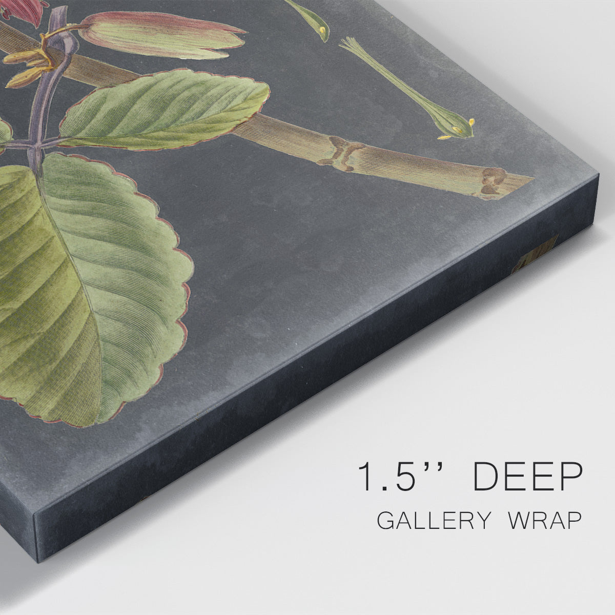 Dramatic Tropicals III Premium Gallery Wrapped Canvas - Ready to Hang