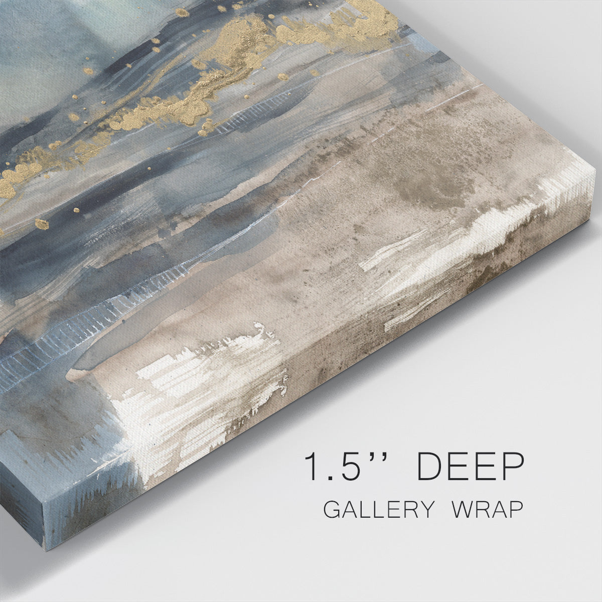 Shadow Sea Fan I-Premium Gallery Wrapped Canvas - Ready to Hang