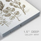 Sepia Botanical Journal VIII - Canvas Art Print