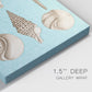 Sepia & Aqua Shells II - Canvas Art Print