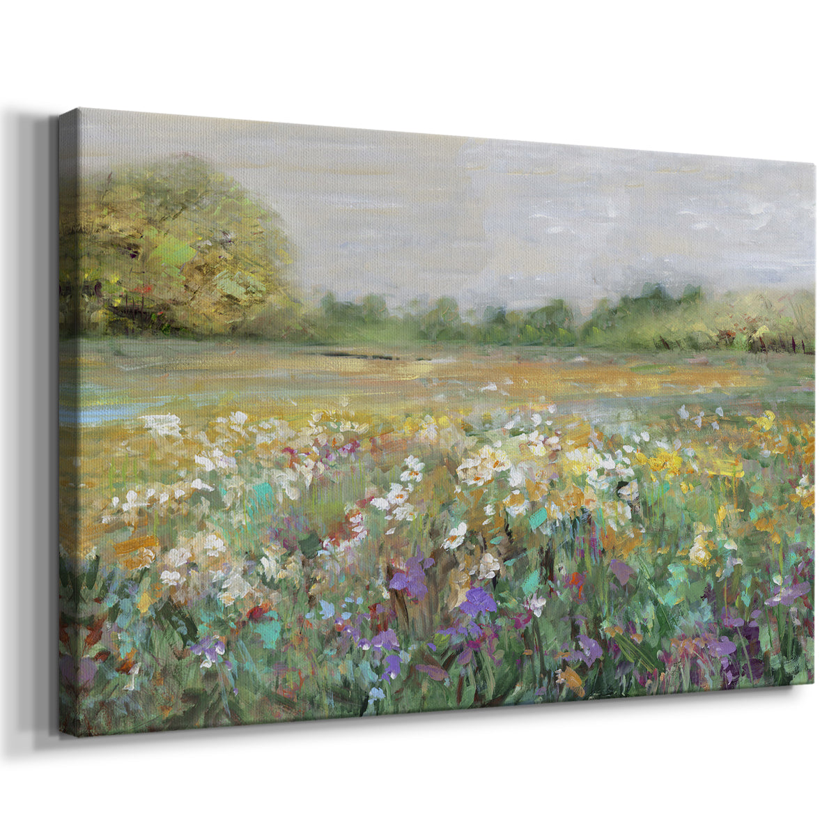 wildflowers,field,nature,spring,afternoon,color,landscape,blooming,flowers,tranquil,beauty,greenery,vibrant,outdoor,sky,plants,peaceful,serene,scenery,sunlight,meadow,botanical,colorful,natural,flora,springtime,growth,rural,countryside,environment,ecology,earth,harmony,fresh,landscape painting,soft light,tranquility,blossoms