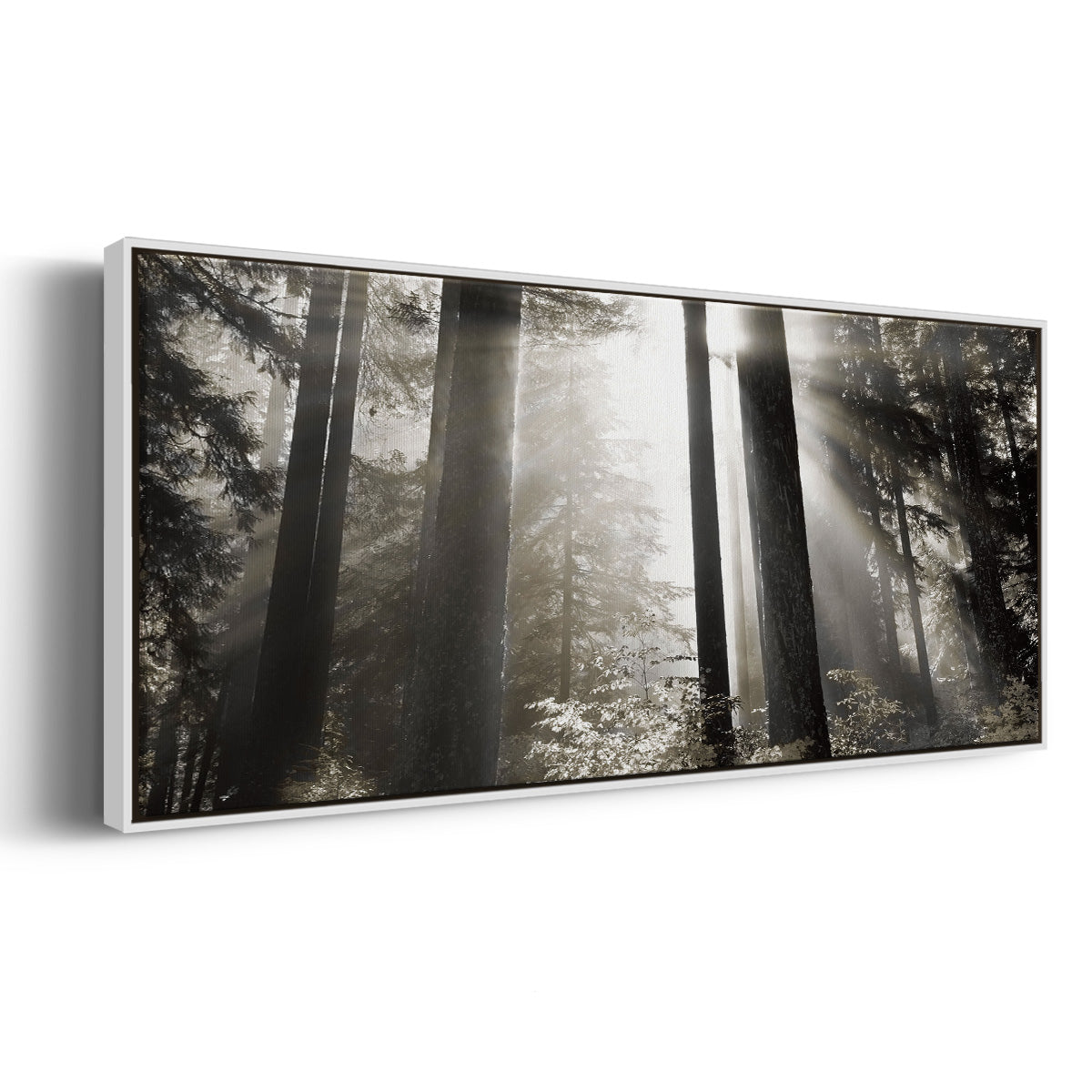 Morning Light - Floater Framed Canvas Print