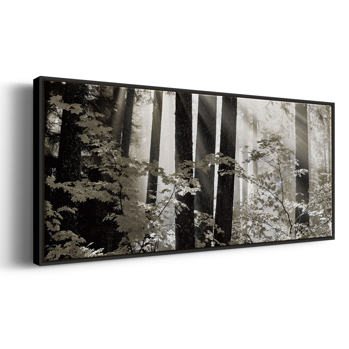 Misty Forest - Floater Framed Canvas Print