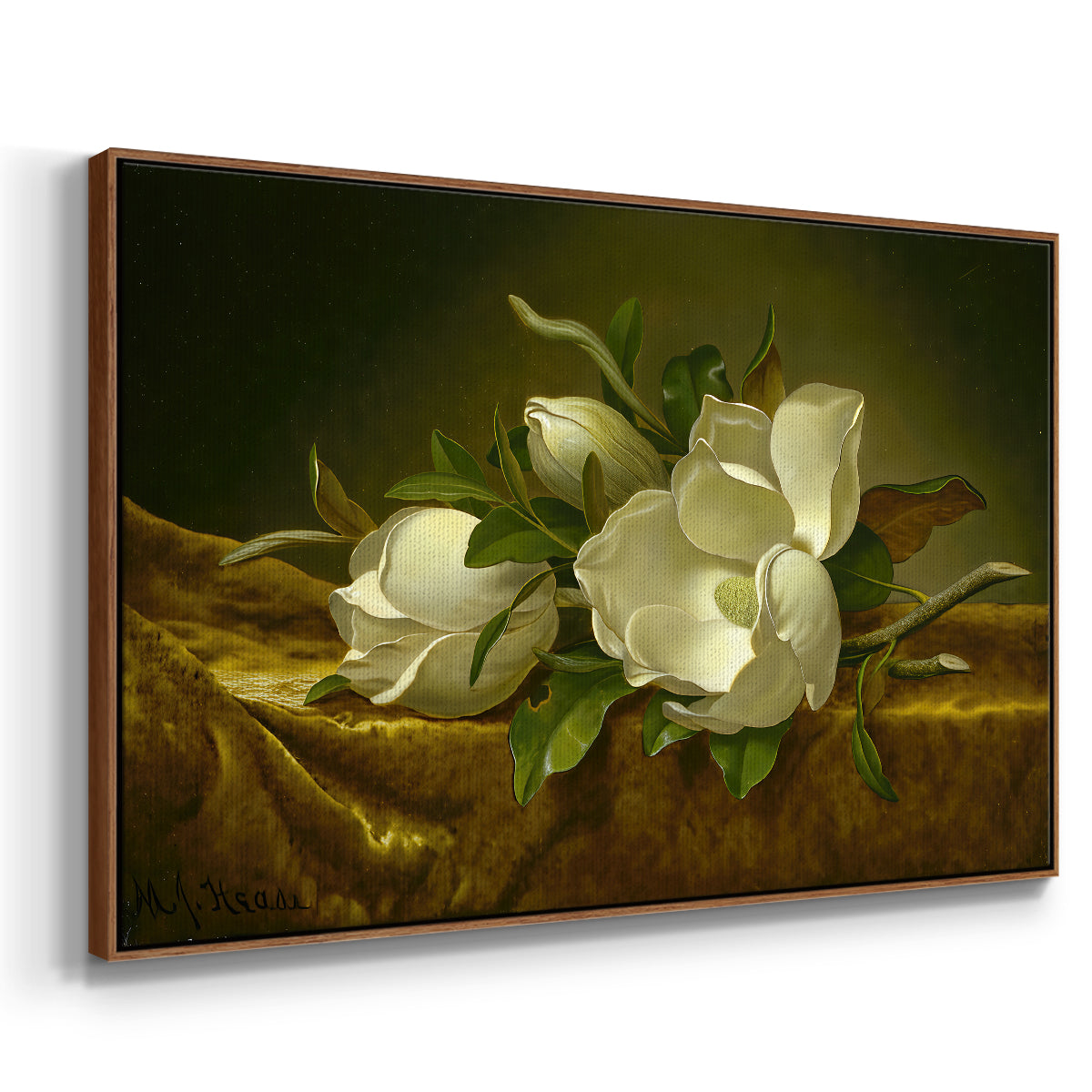 Magnolias on Gold Velvet Cloth, c. 1888-1890 - Floater Framed Canvas Print