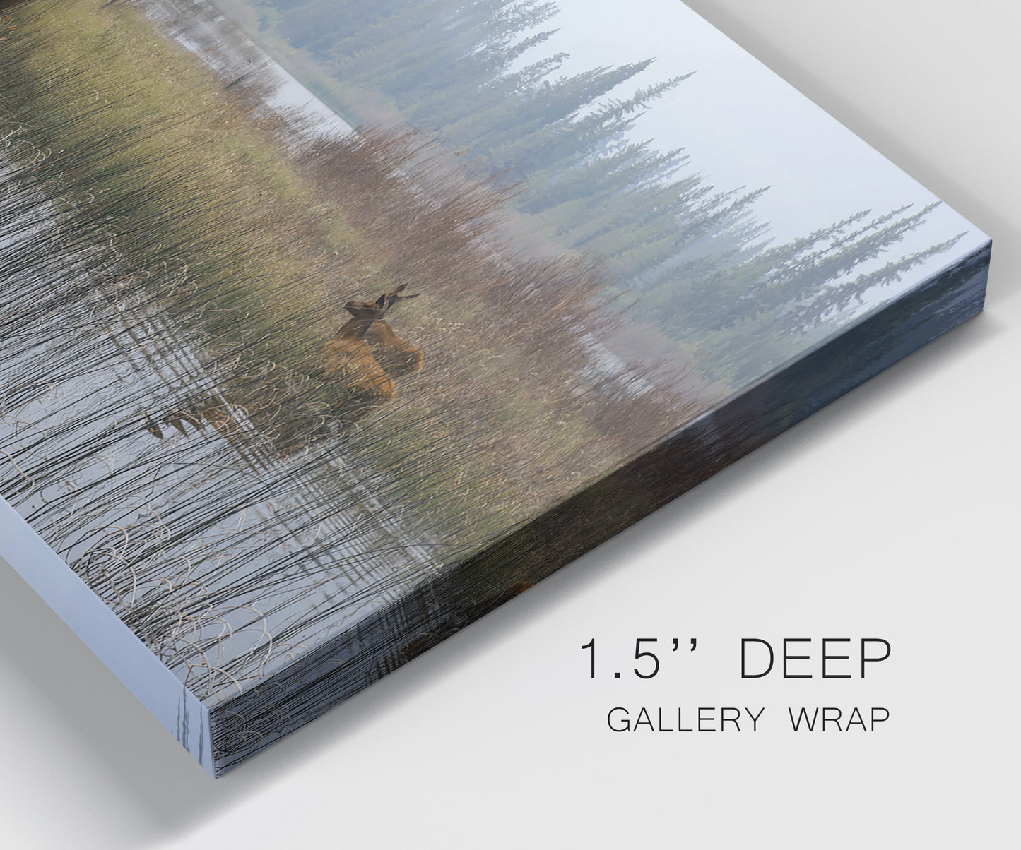 Close-up view of wrapped canvas corner featuring wildlife walking through open field.
