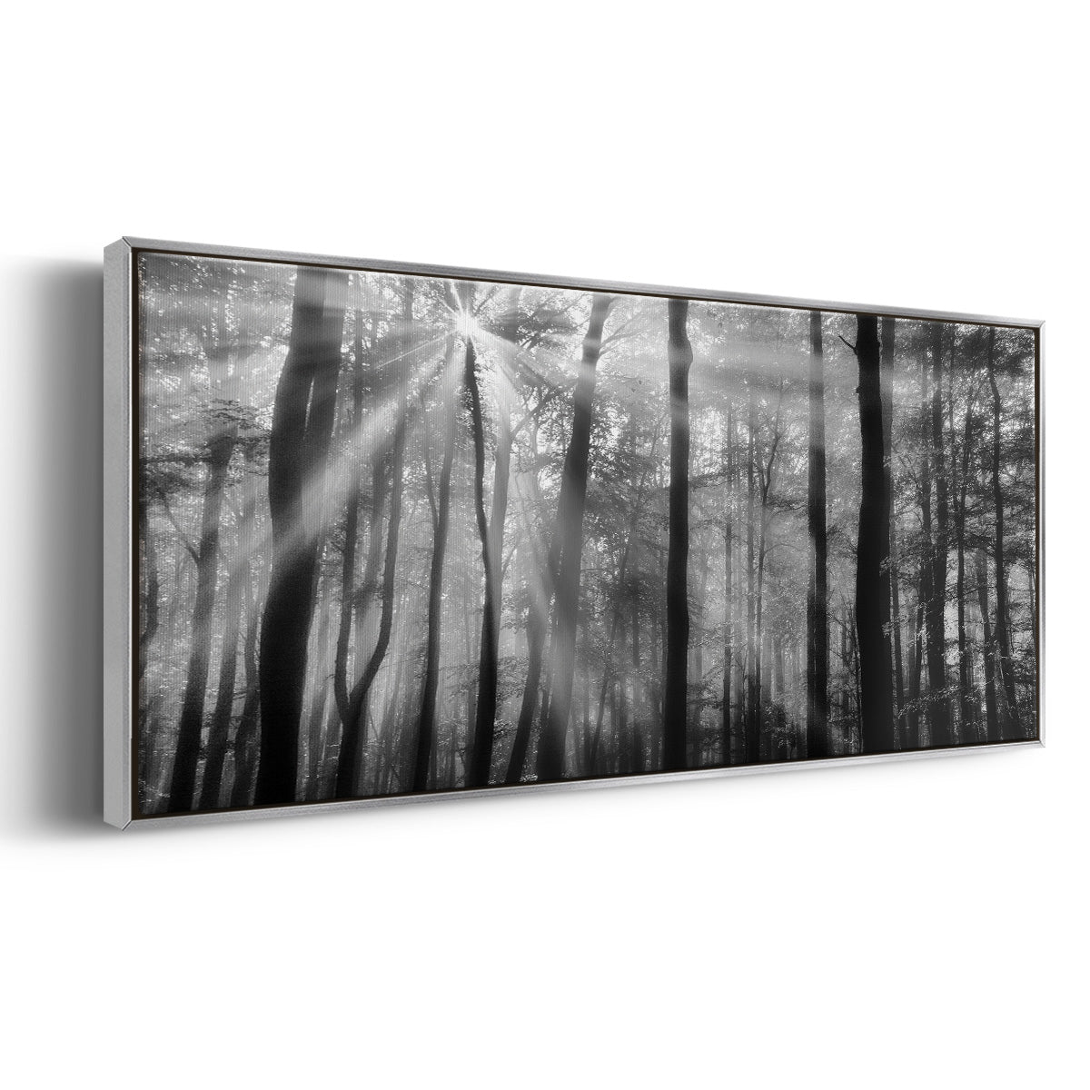 Breaking Through - Floater Framed Canvas Print