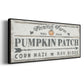 Pumpkin Patch II - Floater Framed Canvas Print