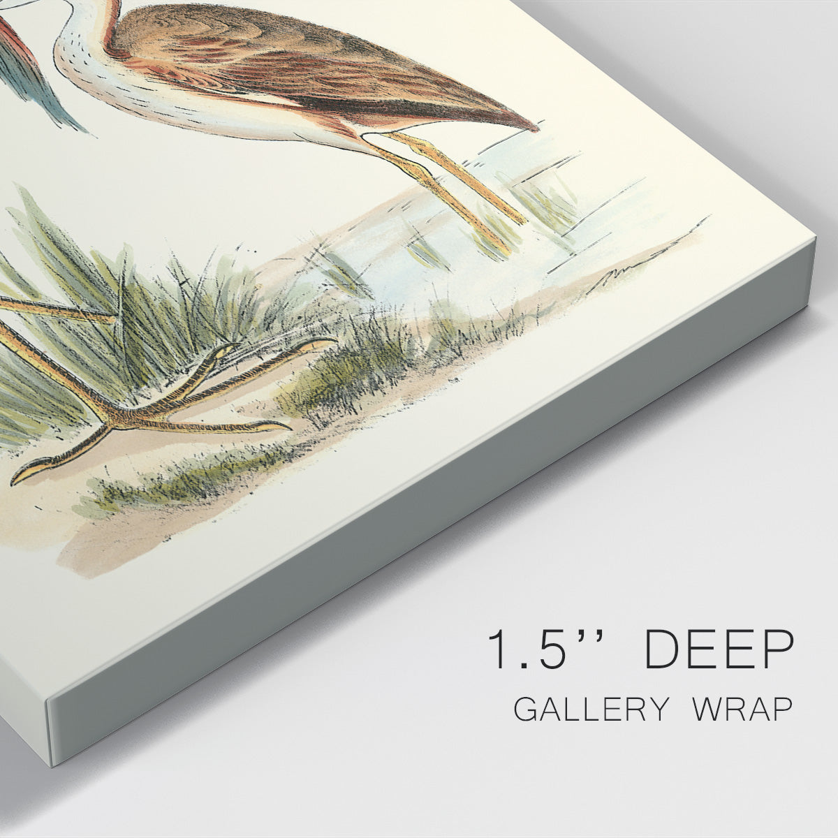 Water Birds III Premium Gallery Wrapped Canvas - Ready to Hang