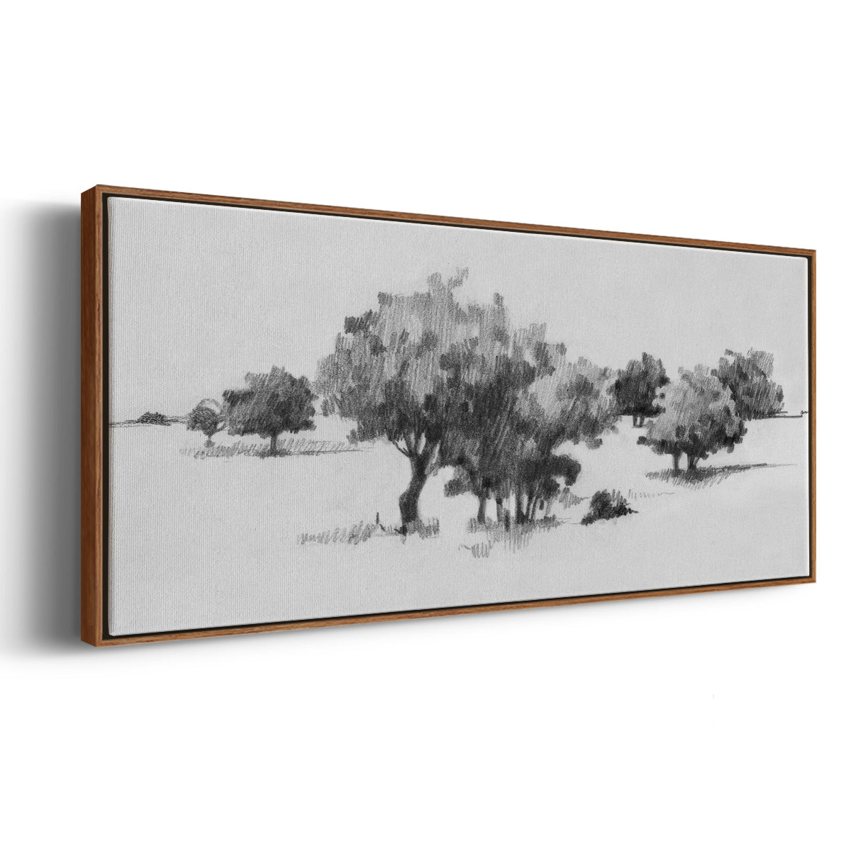 Treeline Sketch II - Floater Framed Canvas Print