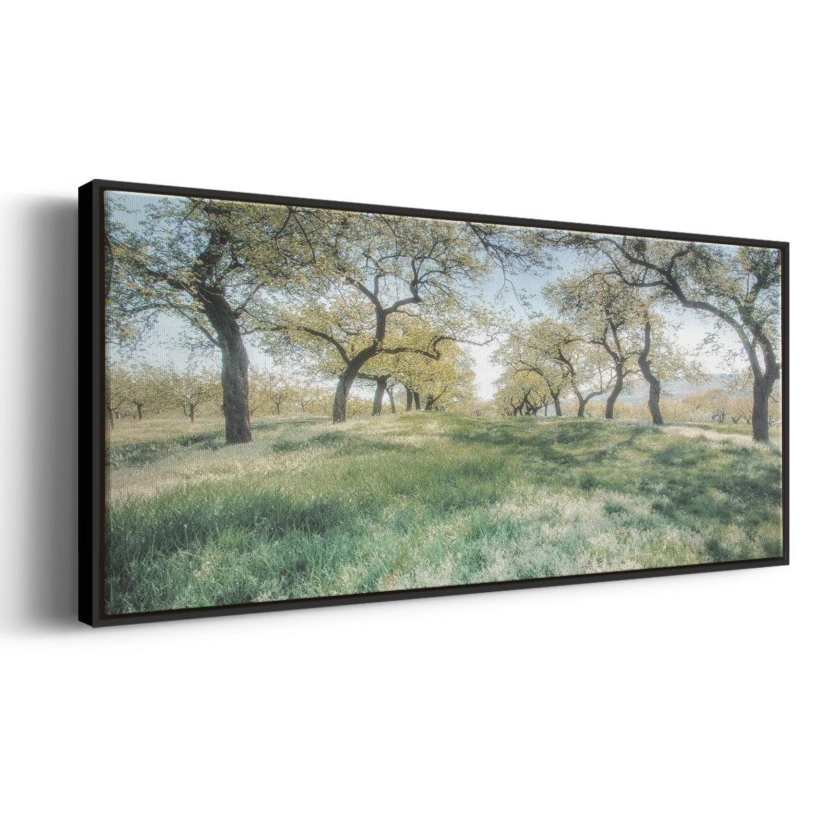 Charming Spring Mood - Floater Framed Canvas Print