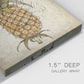 Pineapple Study II Premium Gallery Wrapped Canvas - Ready to Hang