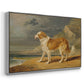 Rough-Coated Collie, 1809 - Floater Framed Canvas Print