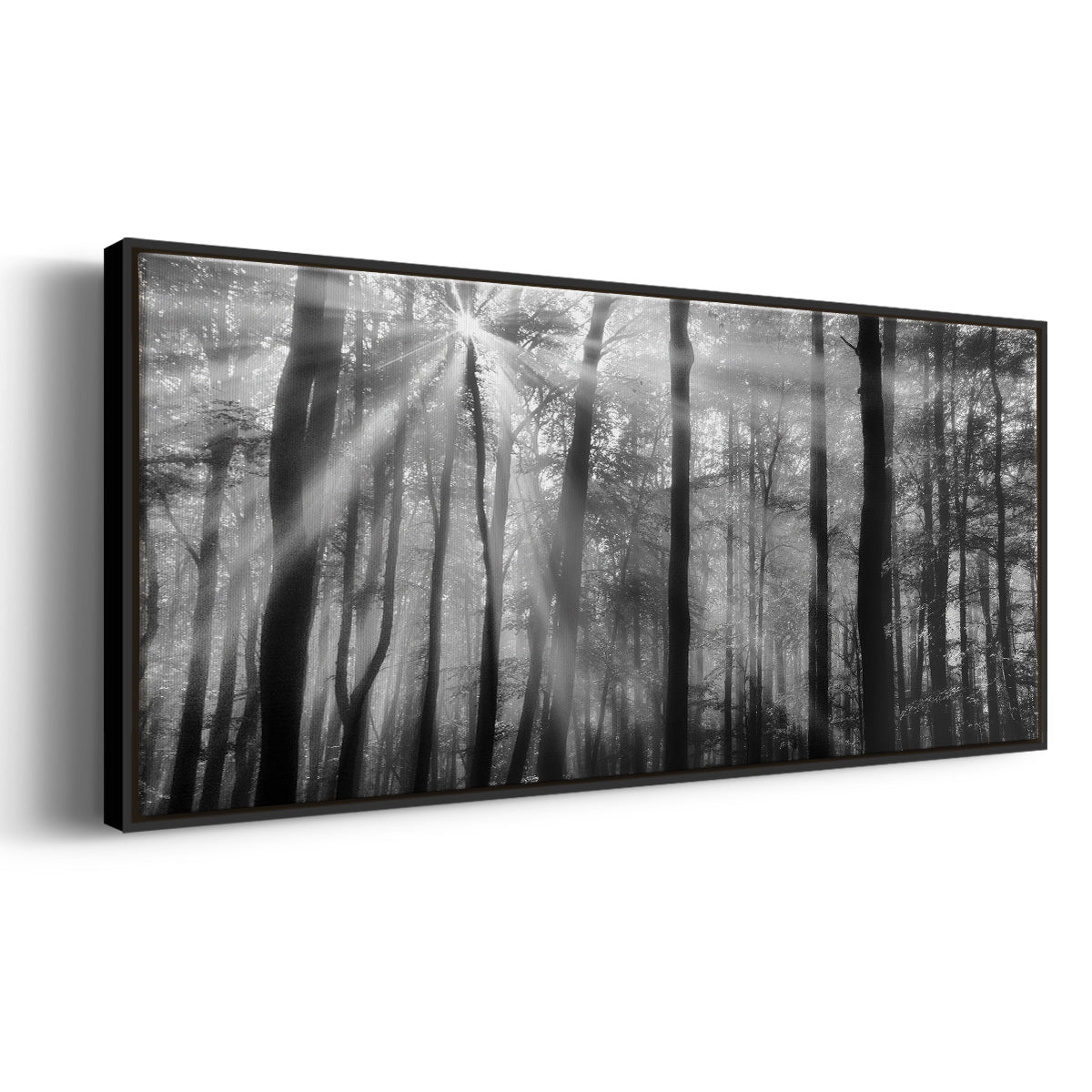Breaking Through - Floater Framed Canvas Print