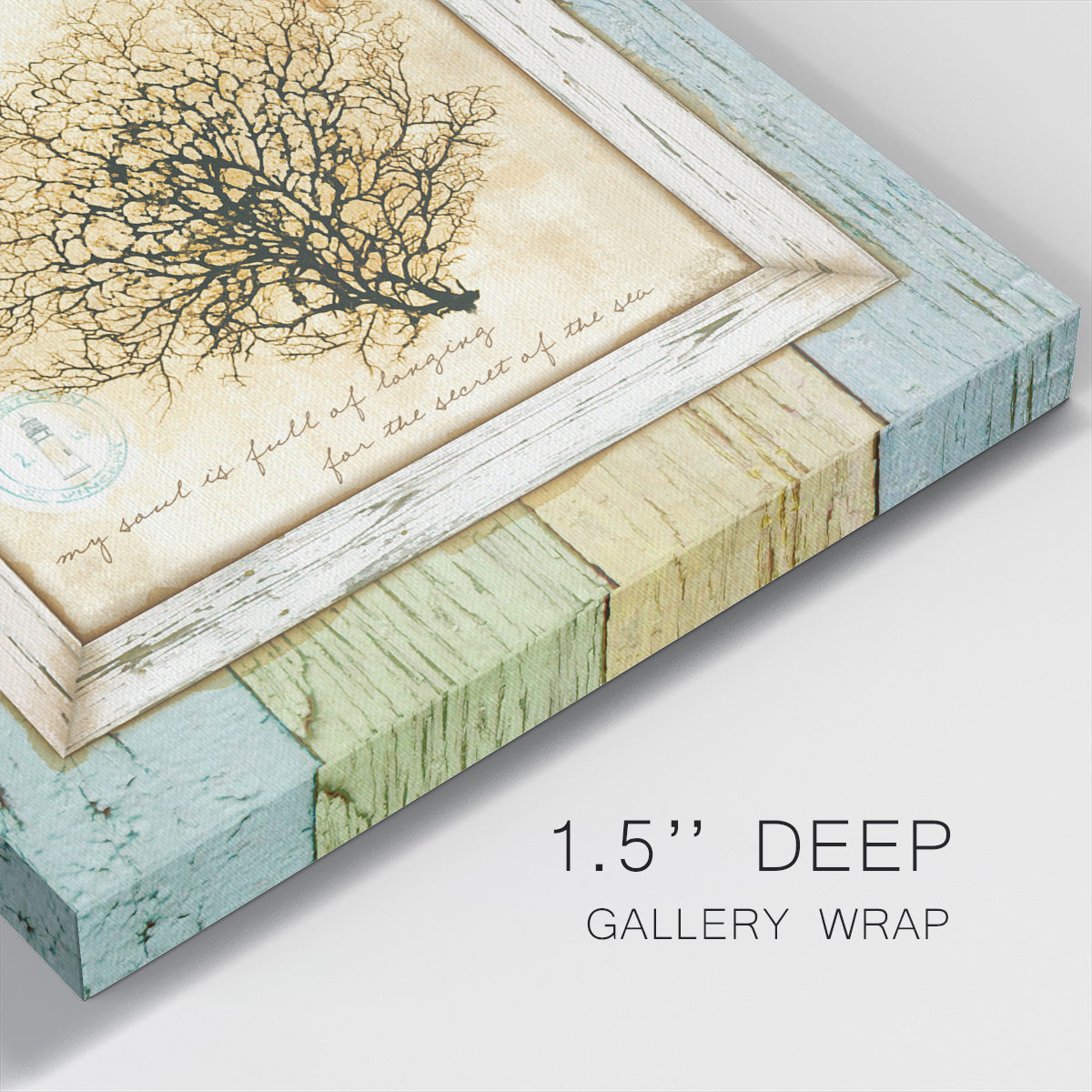 Sea Treasures III - Canvas Art Print