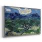 Olive Trees with the Alpilles in the Background, 1889 - Floater Framed Canvas Print