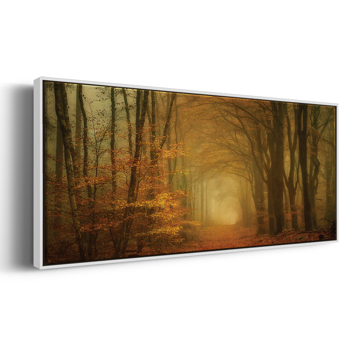 Early Light - Floater Framed Canvas Print