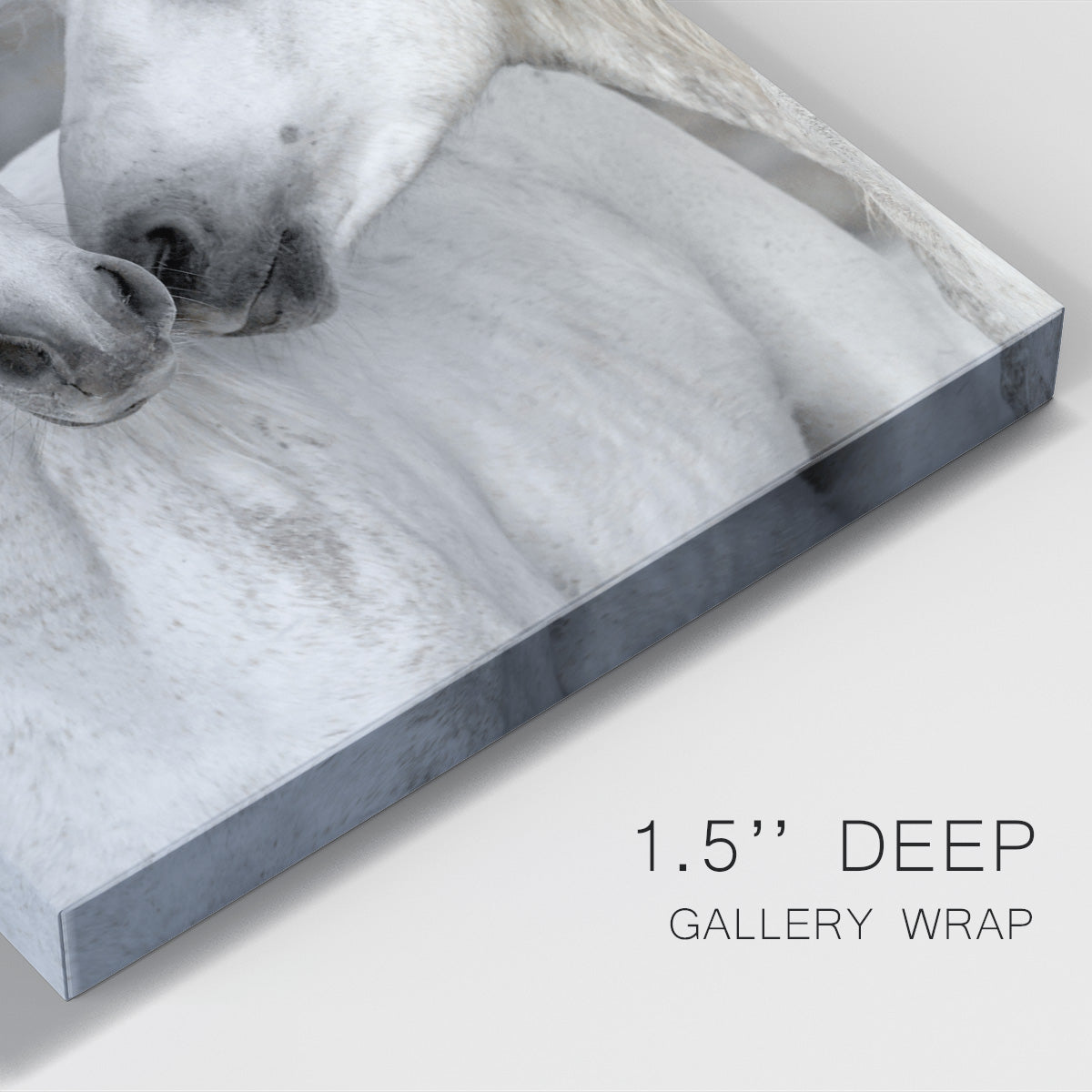 Affection I Premium Gallery Wrapped Canvas - Ready to Hang