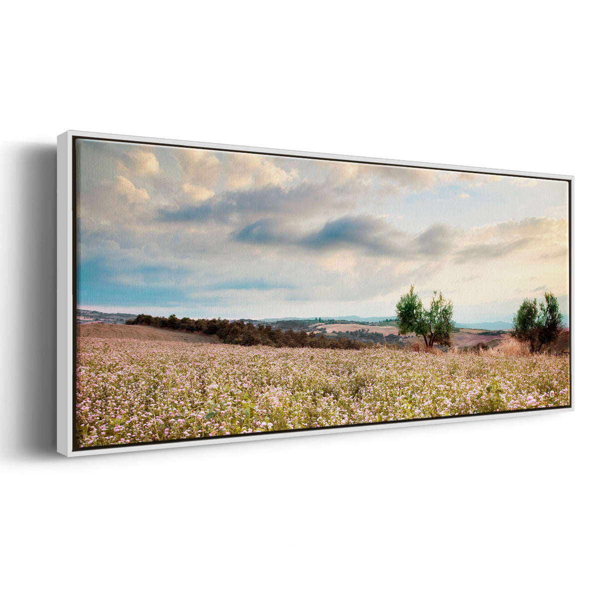 Tuscan Wildflowers - Floater Framed Canvas Print