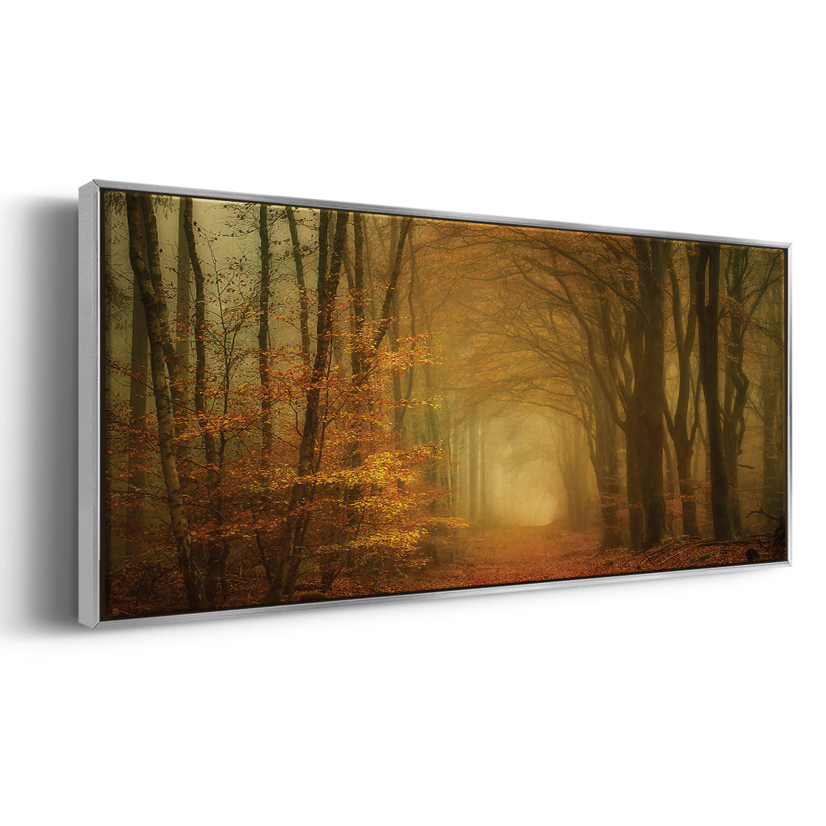Early Light - Floater Framed Canvas Print
