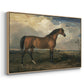 Eagle, A Celebrated Stallion, 1809 - Floater Framed Canvas Print