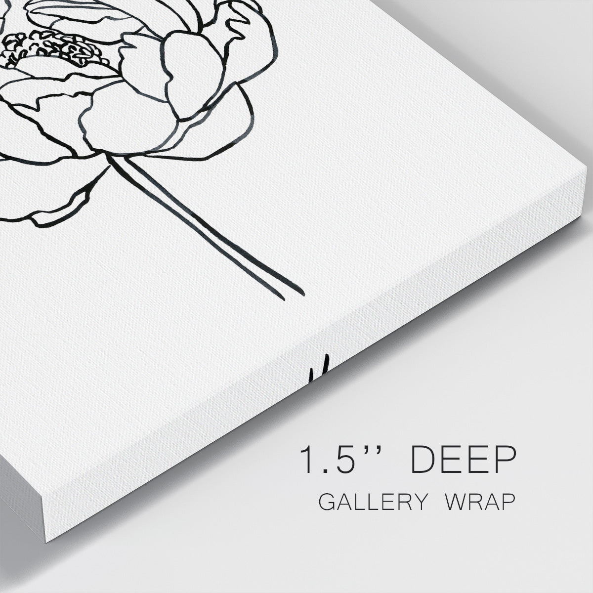 Peony Contour I - Canvas Art Print