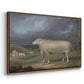 A Border Leicester Ewe, c. 1795-1800 - Floater Framed Canvas Print