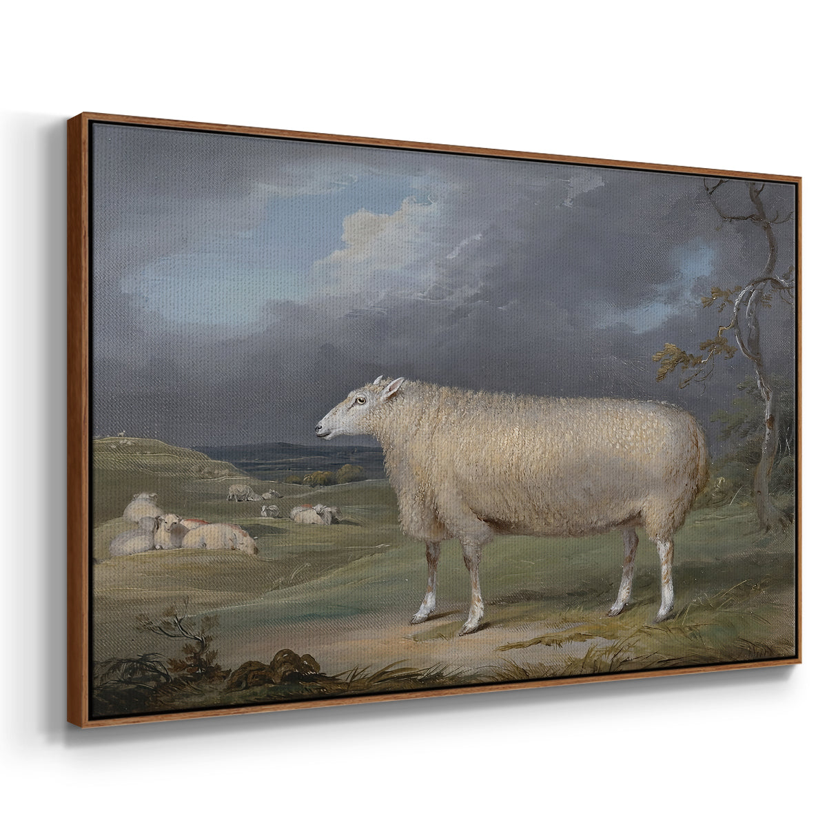 A Border Leicester Ewe, c. 1795-1800 - Floater Framed Canvas Print