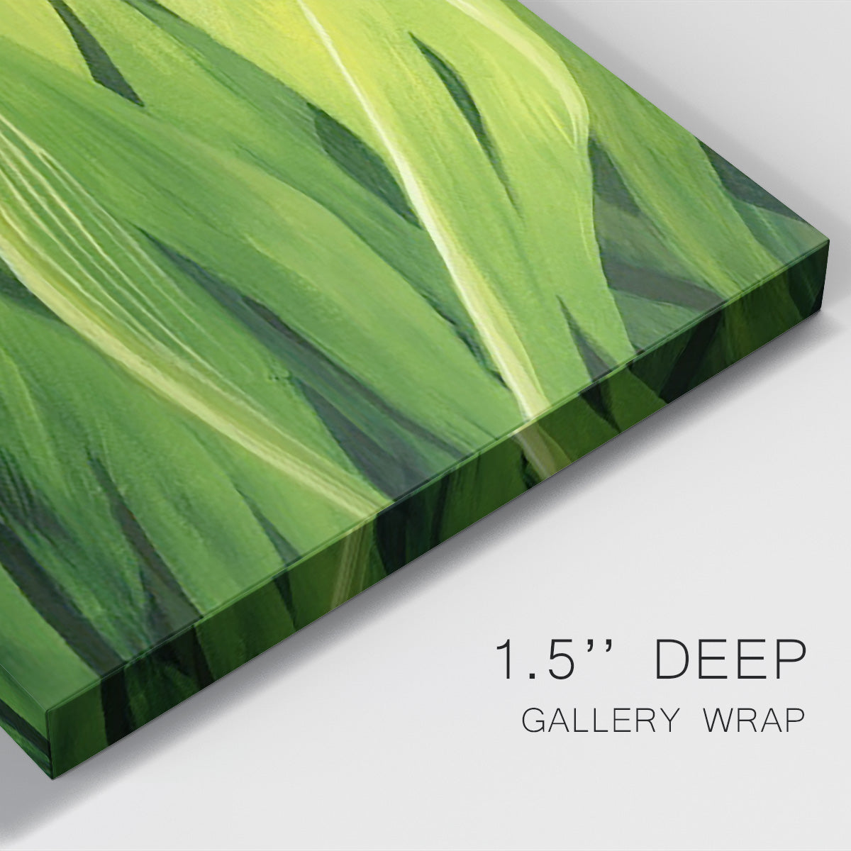 Blades of Grass II Premium Gallery Wrapped Canvas - Ready to Hang