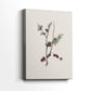 Pearled Night Serenade - Canvas Art Print